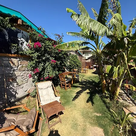Pet Friendly Pool Apartman *