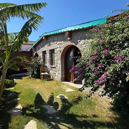 Apartman Pet Friendly Pool Ayvalı
